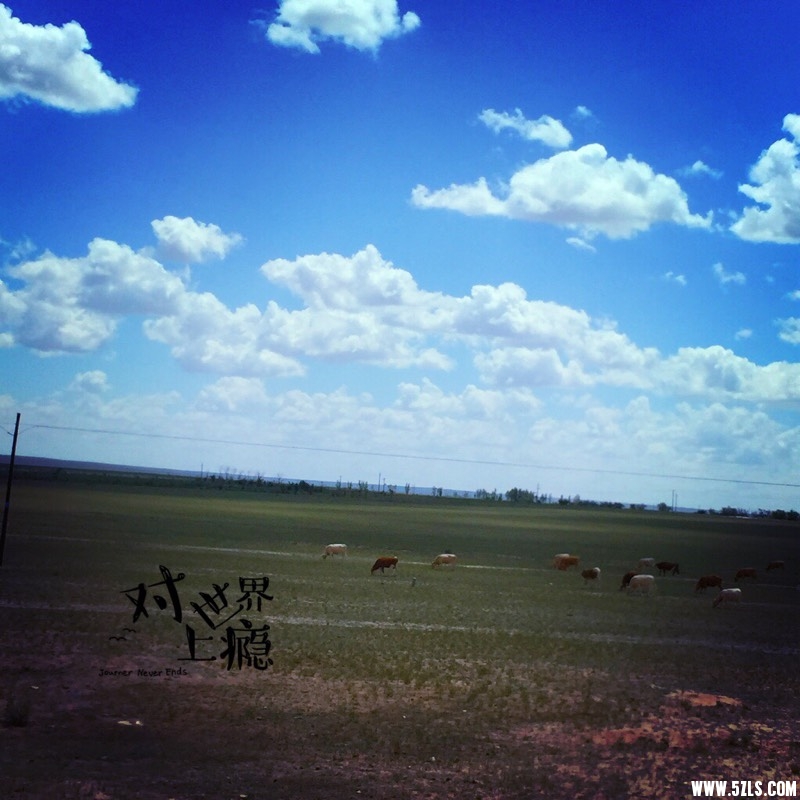 172119fmcesc0lv2p1szsd.jpg