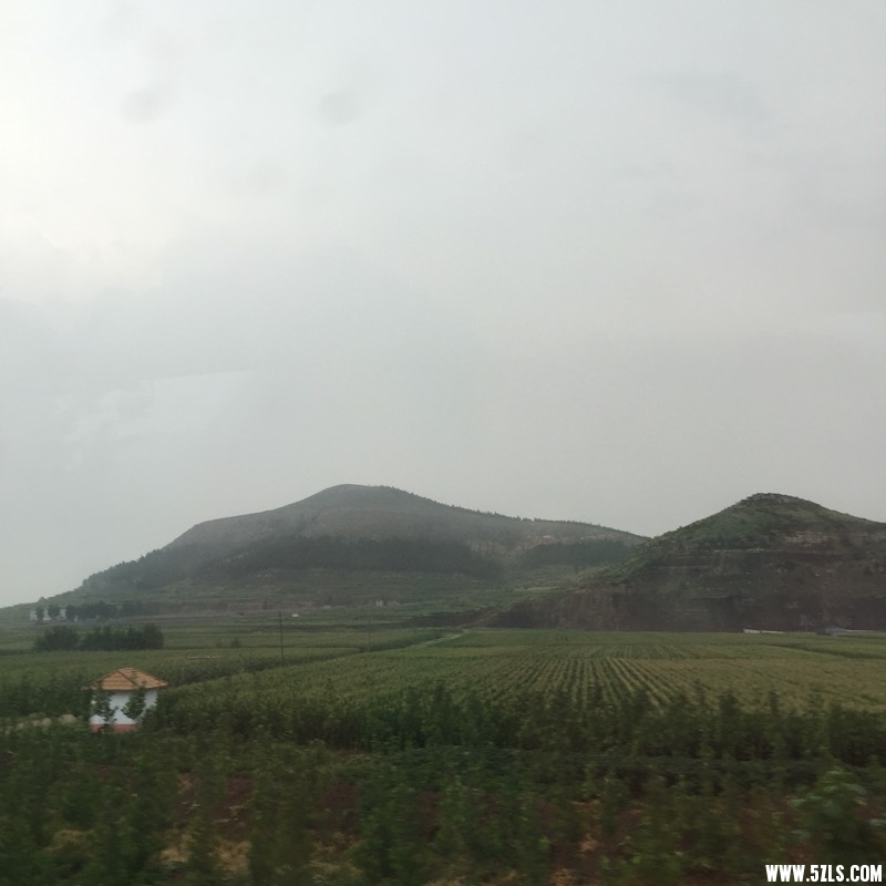 225527vfoq9ght29pl91fe.jpg