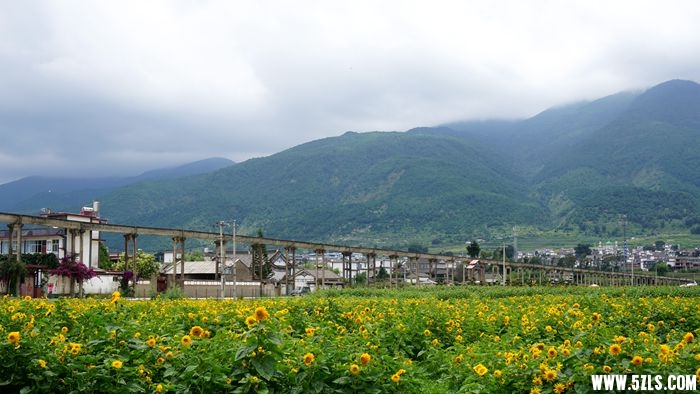 DSC00839_.jpg