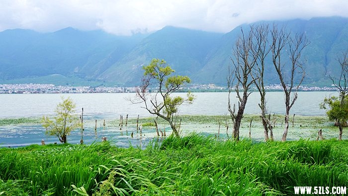 DSC00840_.jpg