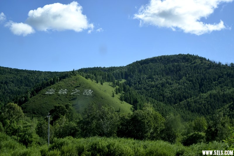 _DSC9334.JPG