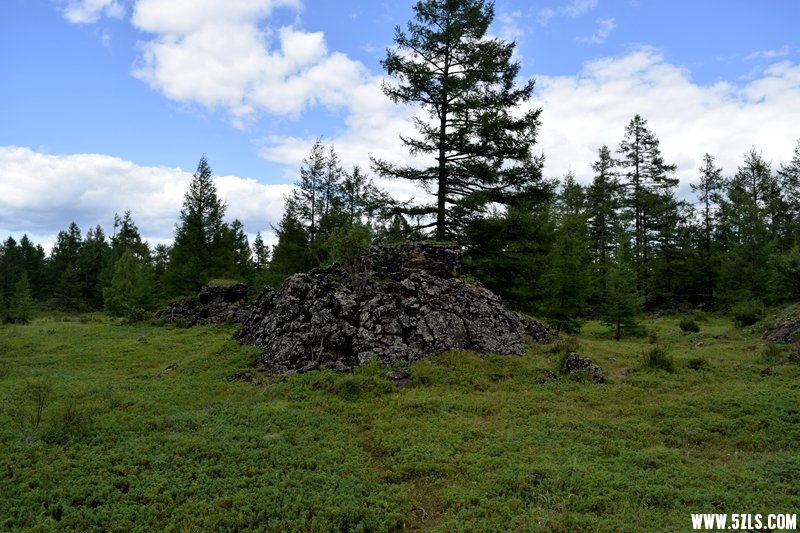 _DSC9424.JPG