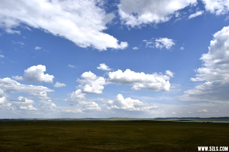 _DSC9567.JPG