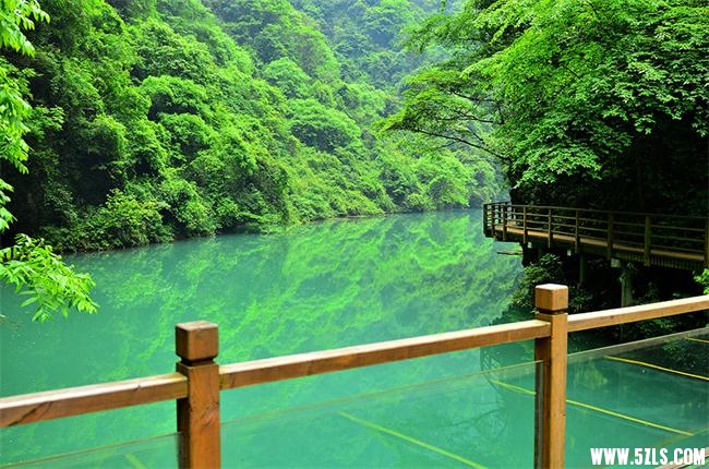 张家界大峡谷1.jpg