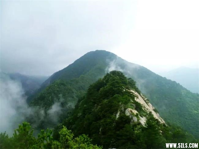 170444lfuqin9ajte0wezn_副本.jpg