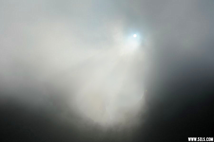 DSC_7446__.jpg