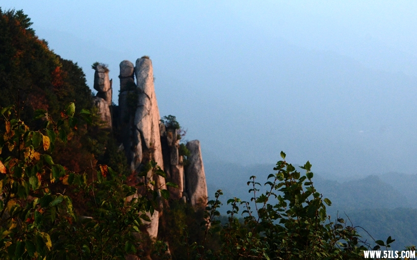 DSC_4109_副本_副本.jpg