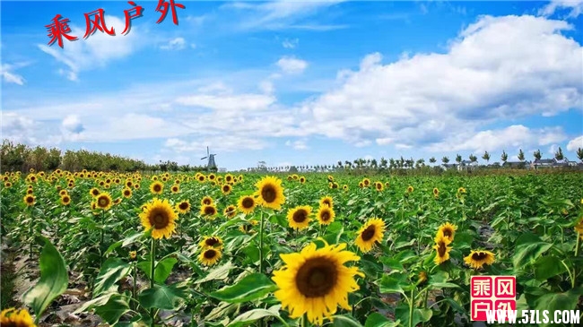 QQ图片20160923123546.jpg