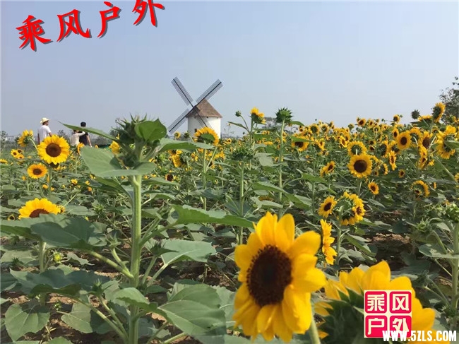 QQ图片20160923123535.jpg