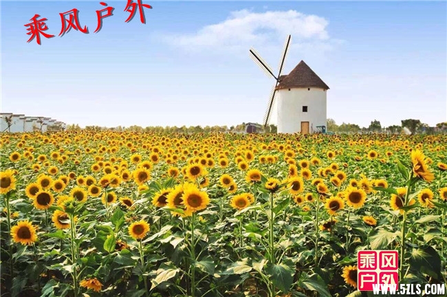 QQ图片20160923123530.jpg