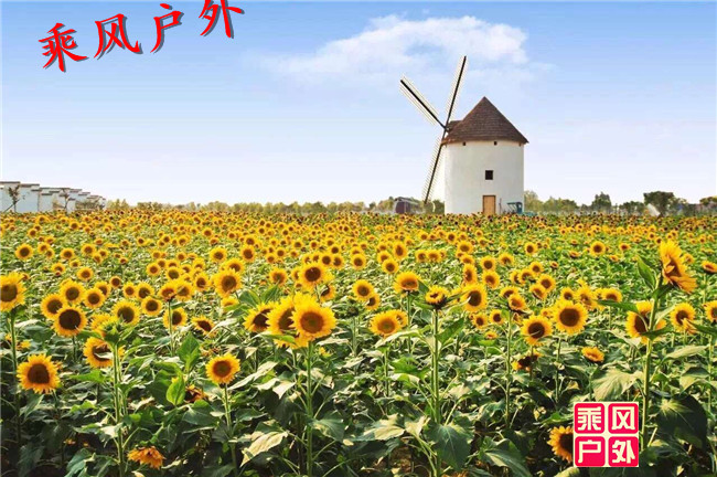 QQ图片20160923123530.jpg