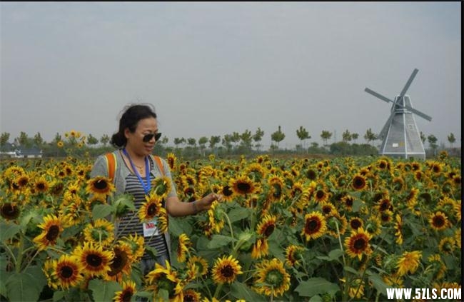 QQ图片20160923133128.jpg