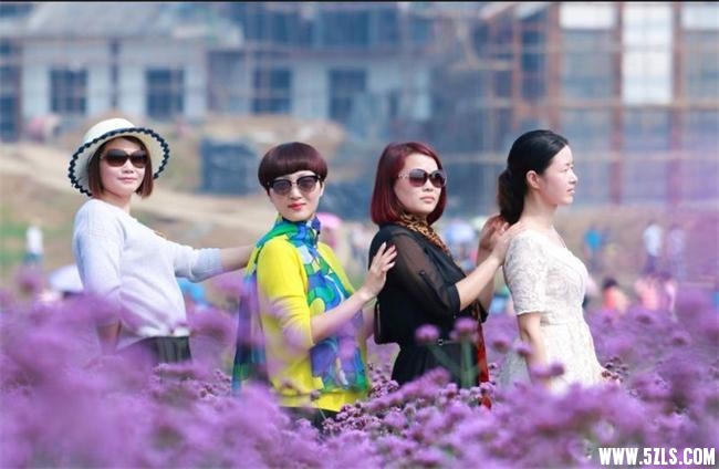 QQ图片20160923133114.jpg