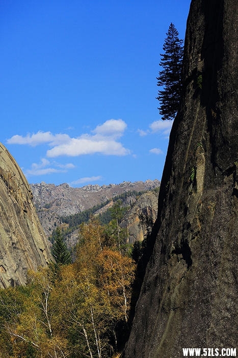 CA9A7750.JPG