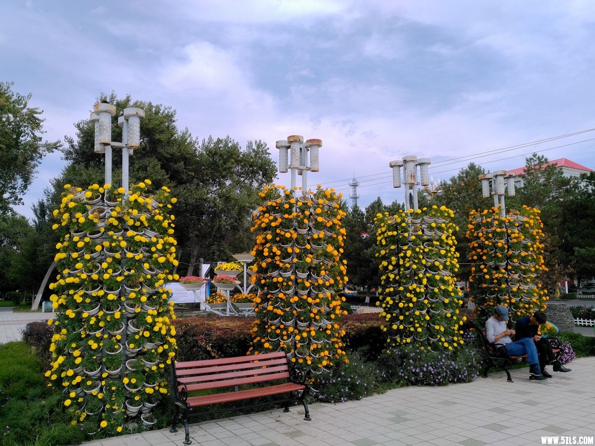 IMG_20160913_154220.jpg