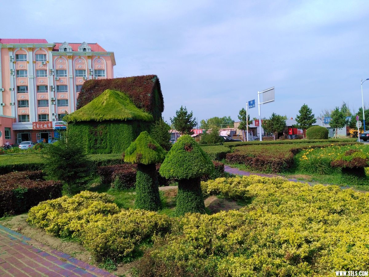 IMG_20160913_160054.jpg