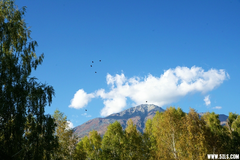 DSC05560__1.jpg
