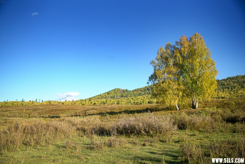 DSC05589__1.jpg