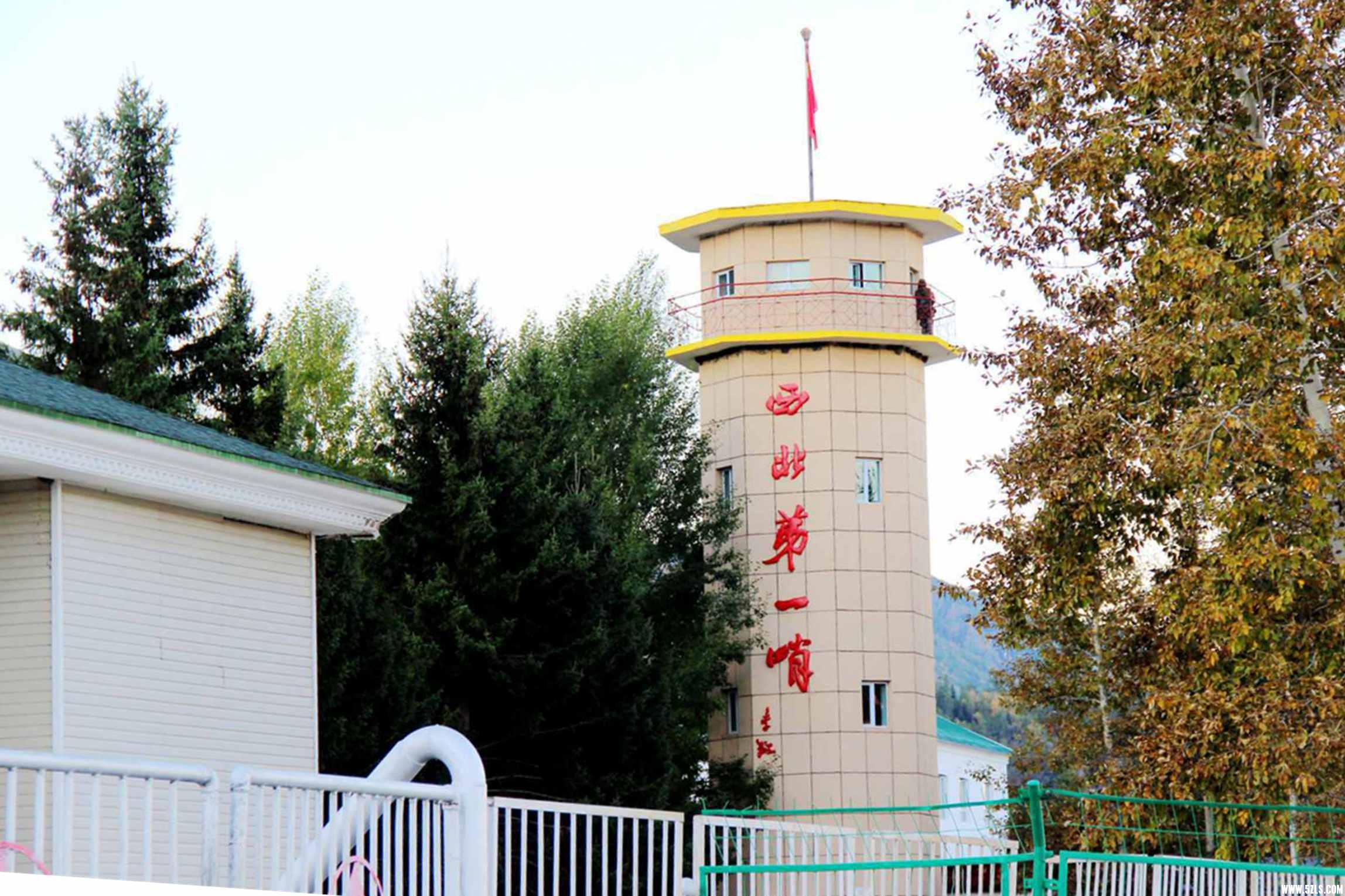  1196.jpg