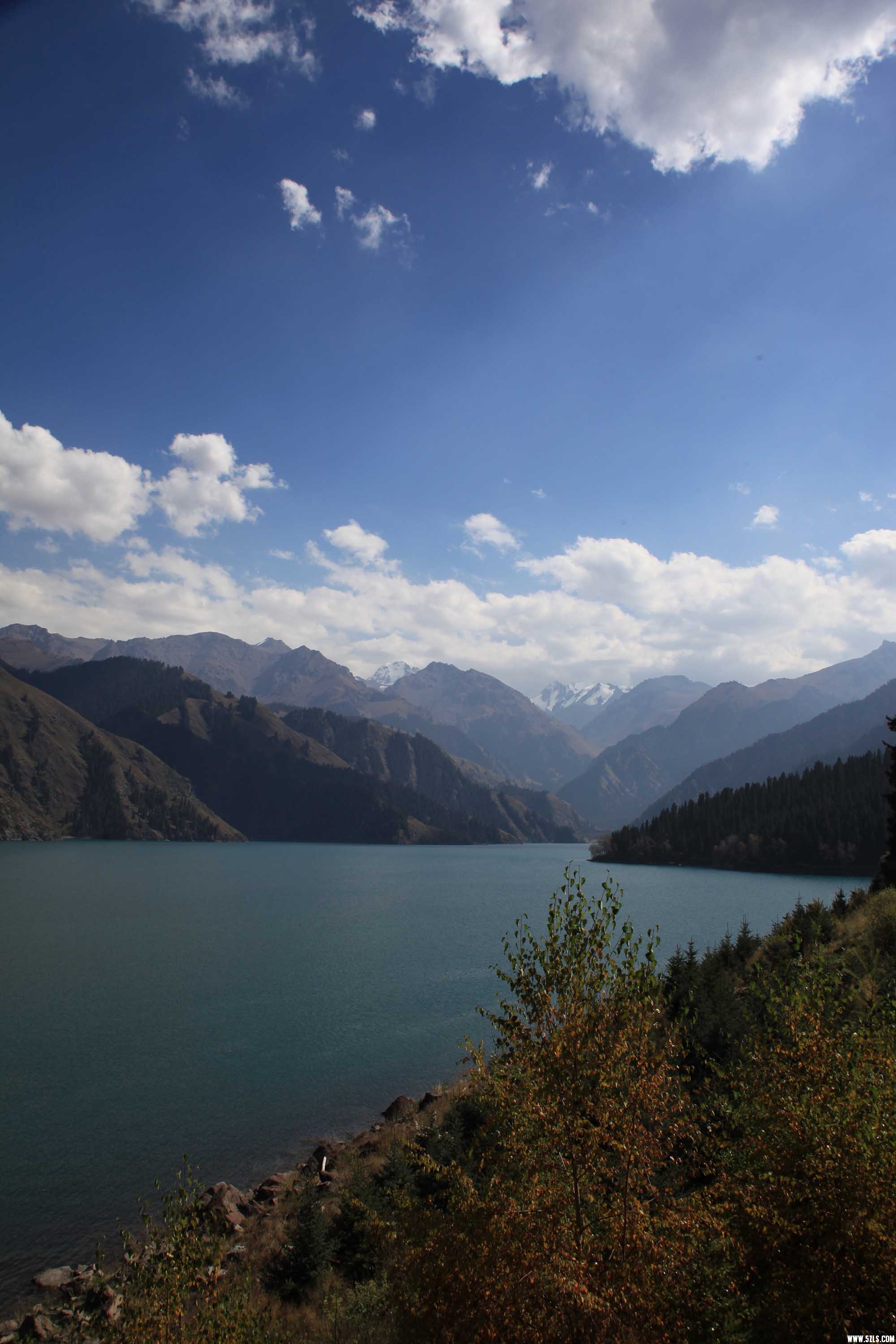 IMG_3430x.jpg