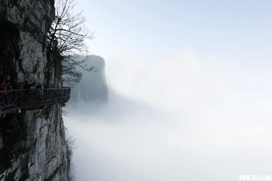 _DSC1579__.jpg
