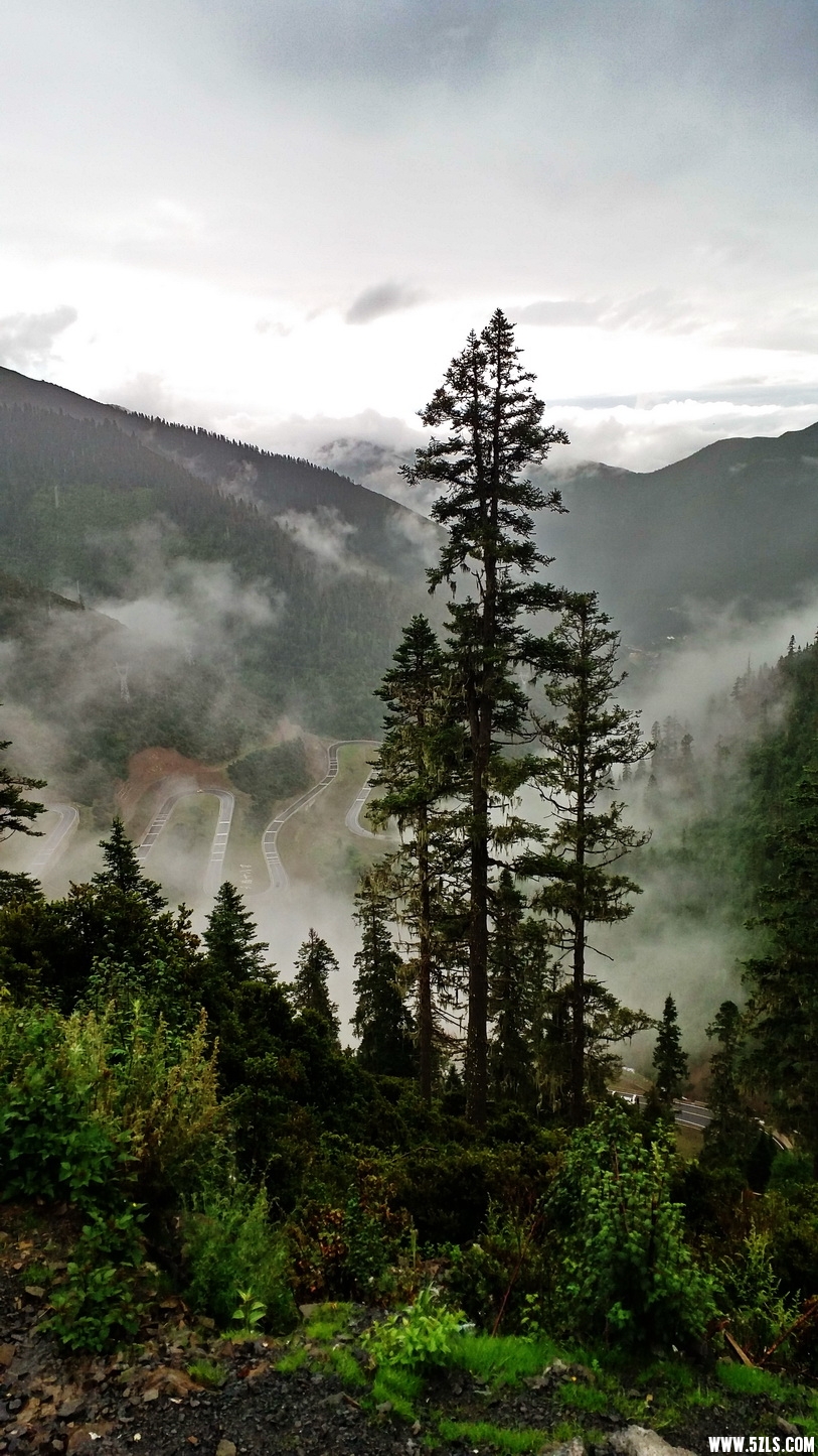 20160719_081134.jpg