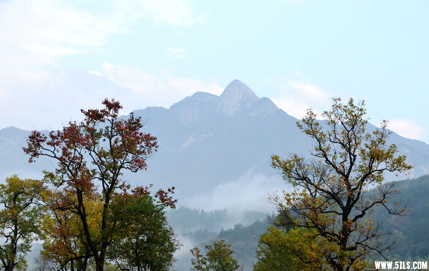 DSC_4896__.jpg