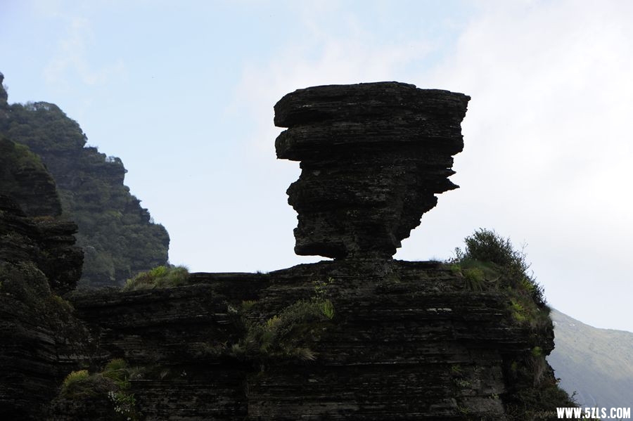 _DSC5597__.jpg