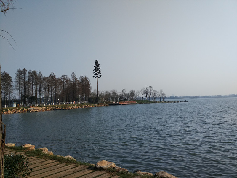 img_20170114_092443_.jpg
