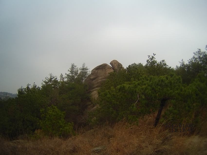 01.jpg