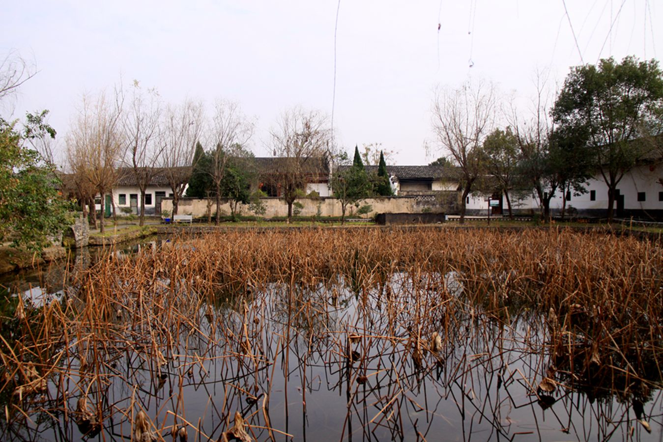 gmy 154_.jpg