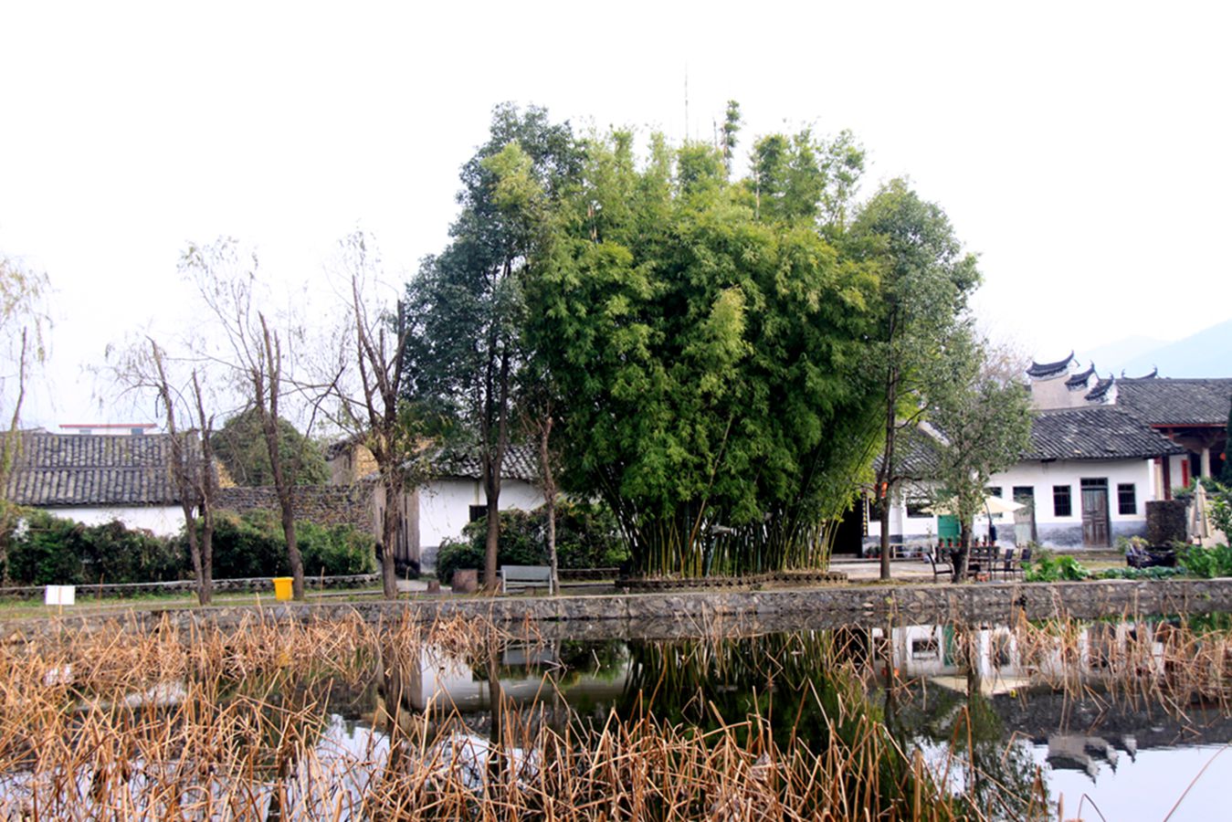 gmy 156_.jpg