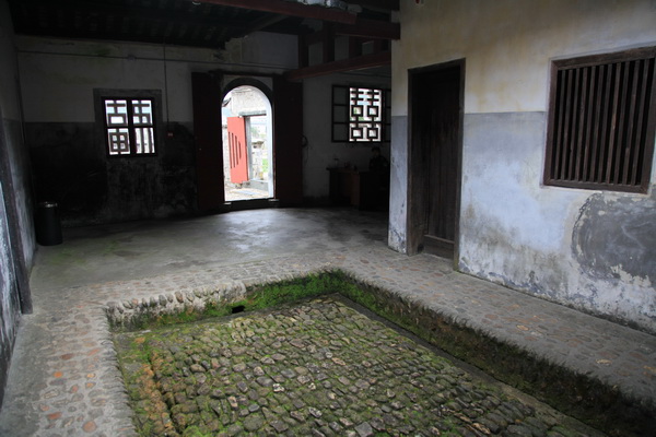 img_5181.jpg