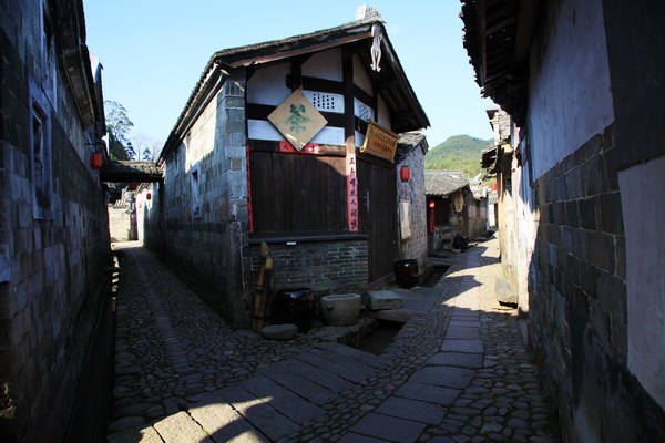 img_5442.jpg