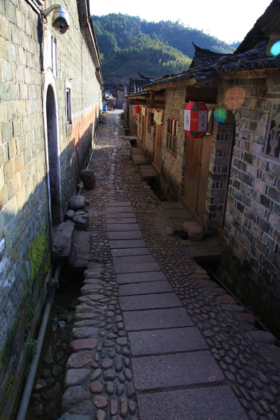 img_5388.jpg