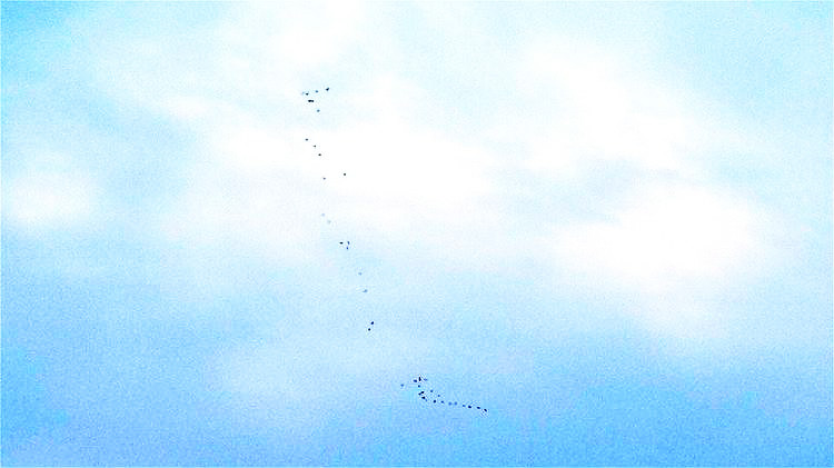 ң004.jpg