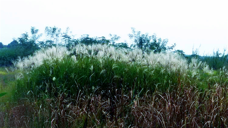 ң009.jpg