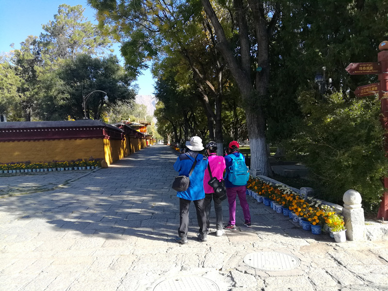 img_20171018_100919_.jpg