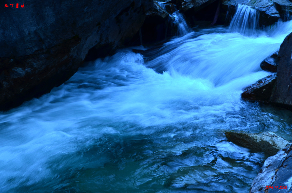 dsc_1394.jpg