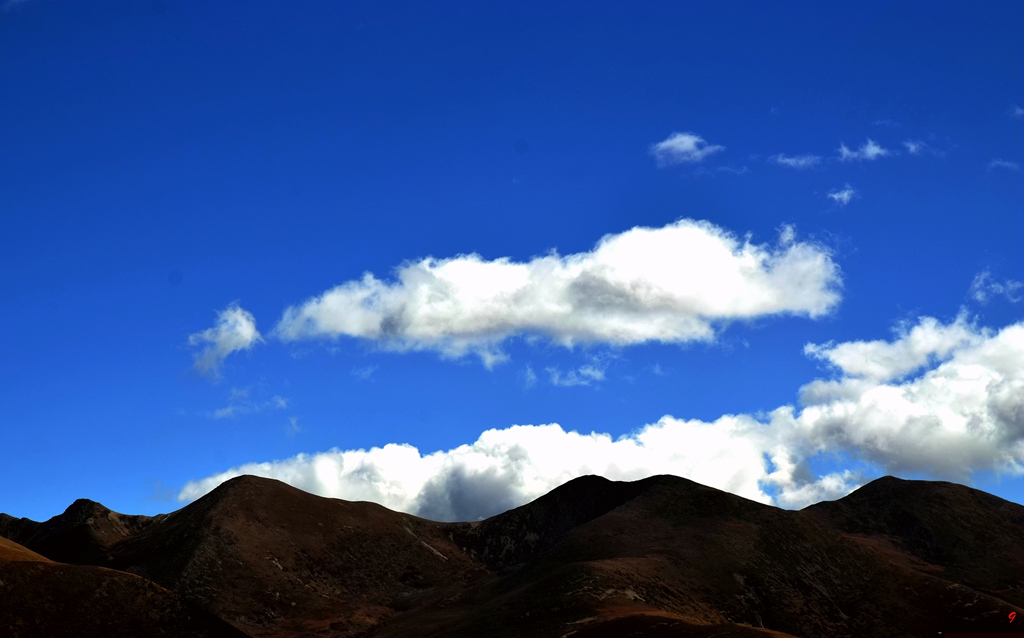 dsc_0950.jpg