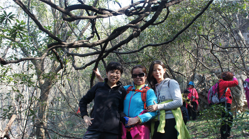dsc06484.jpg