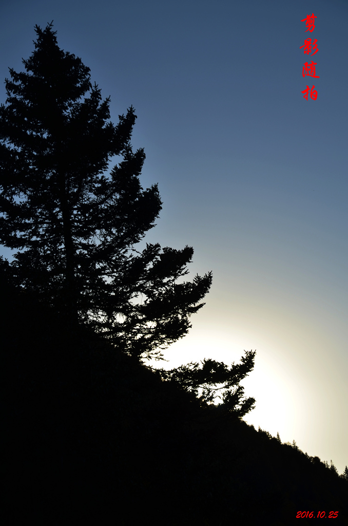 dsc_2669.jpg