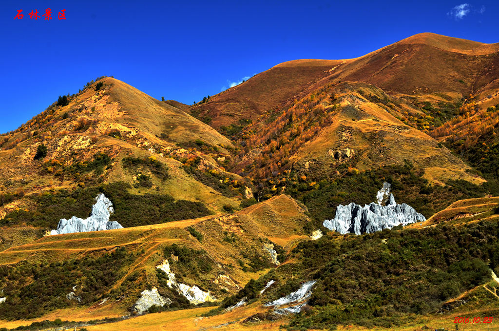 dsc_1874.jpg