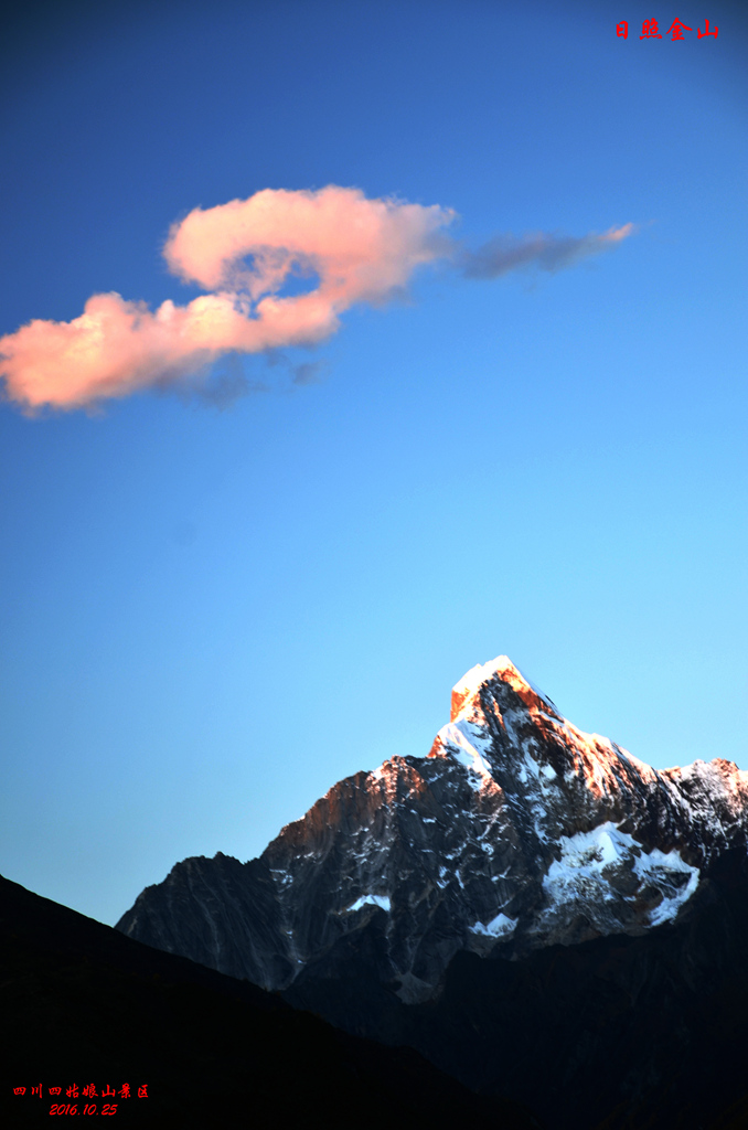 dsc_2769.jpg