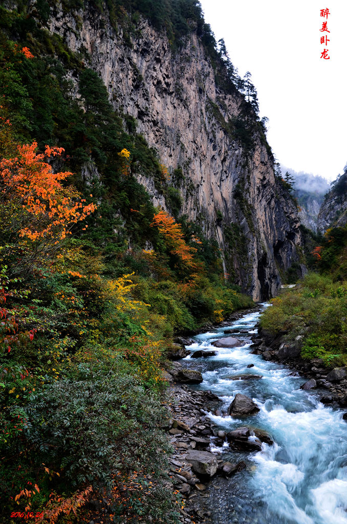 dsc_2830.jpg