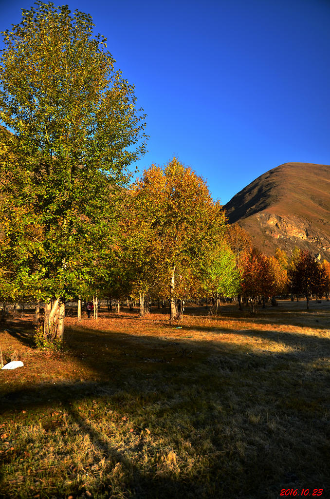 dsc_1770.jpg