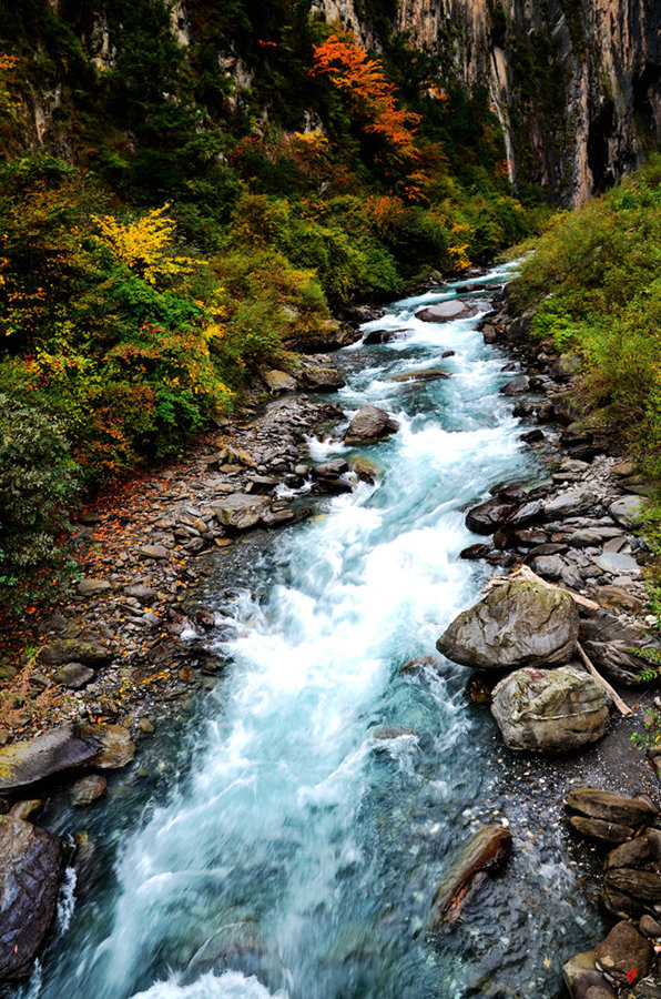 dsc_2842.jpg