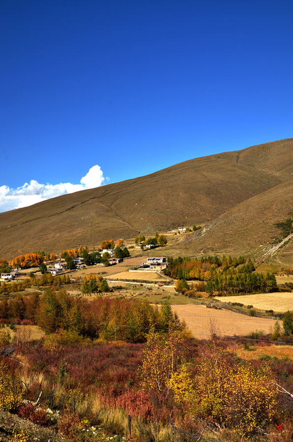 dsc_1935.jpg