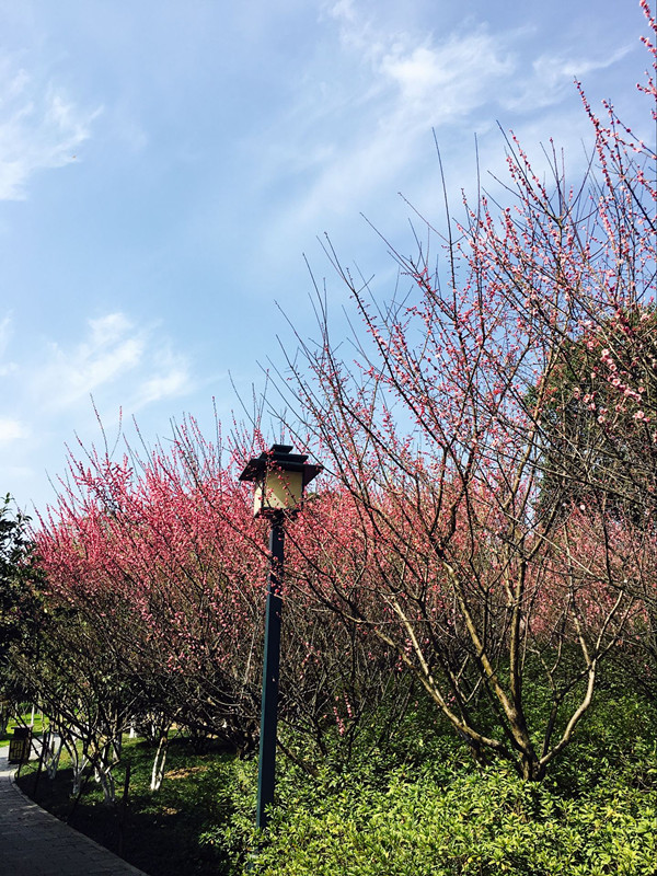 dsc_0158_副本.jpg