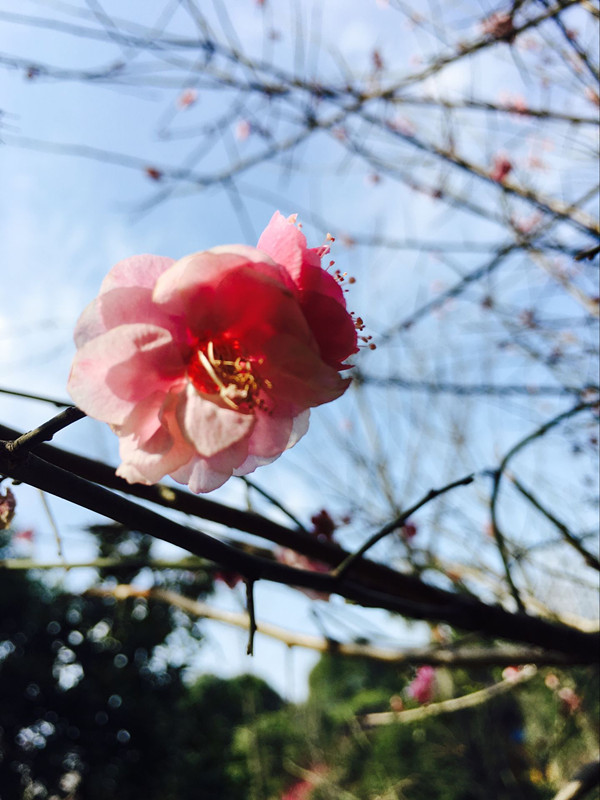 dsc_0163_副本.jpg